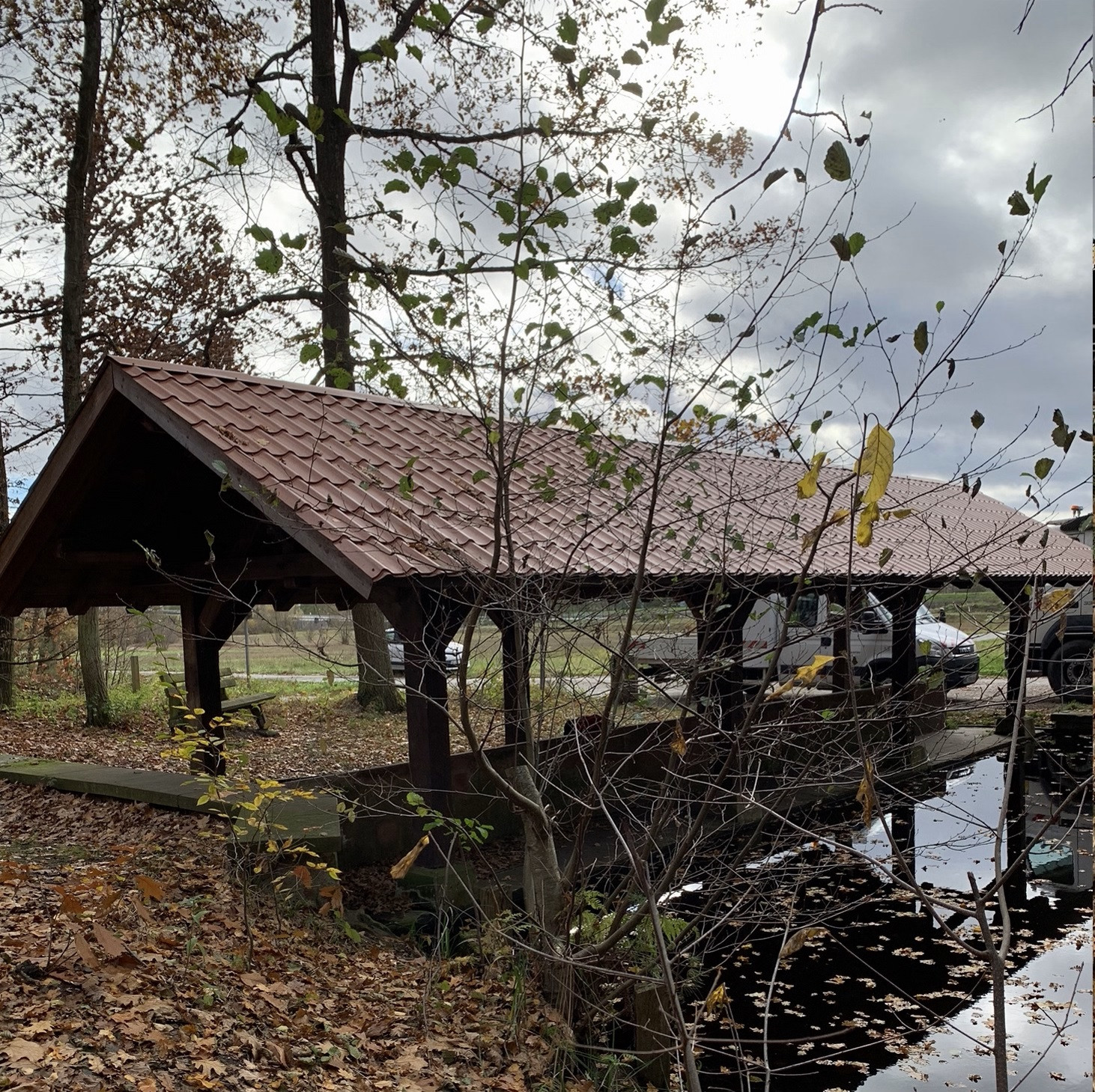 Nettoyage du lavoir du Hundshof (1)
