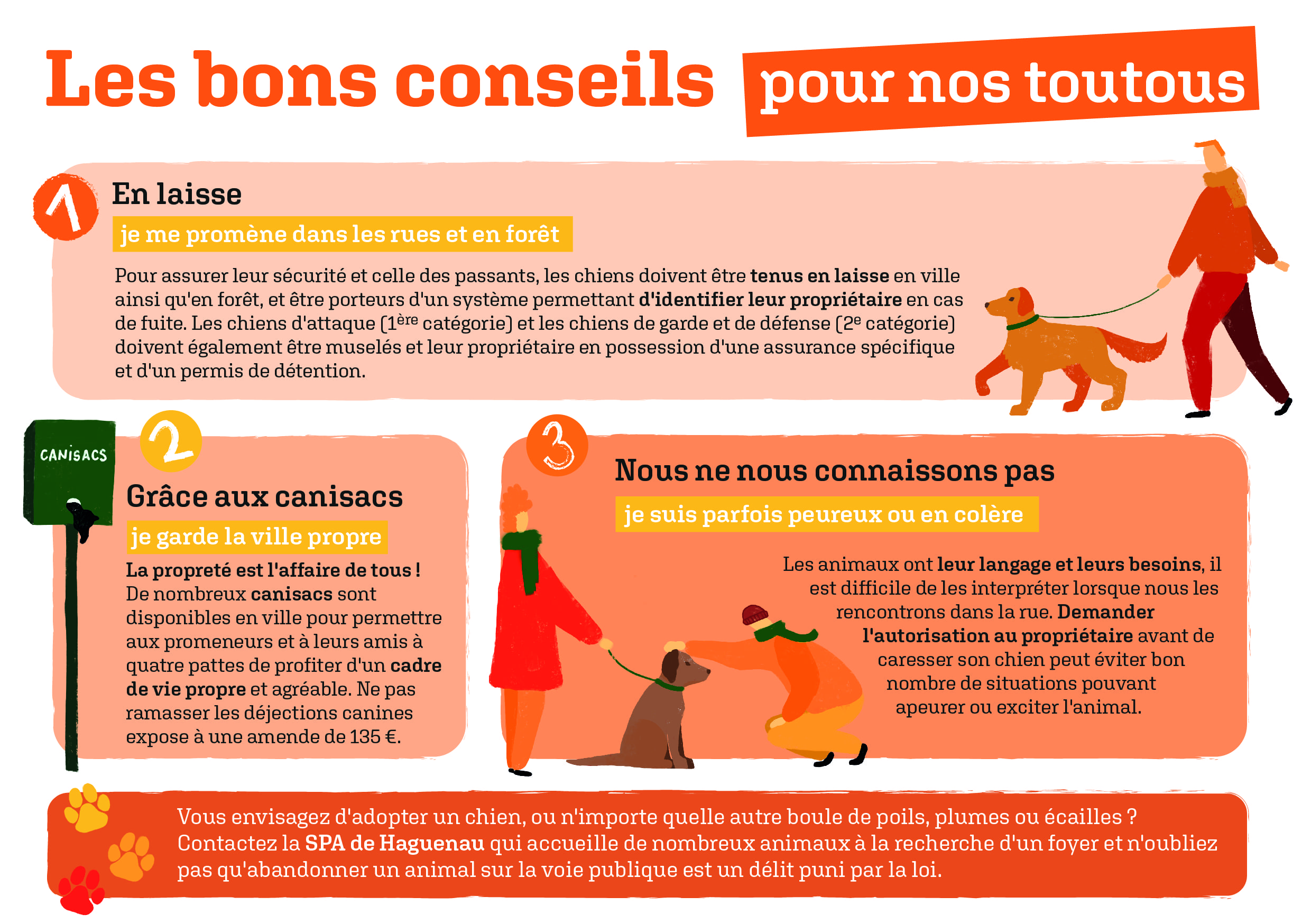 p4 5 Infographie Bon conseils pour nos toutous (2)
