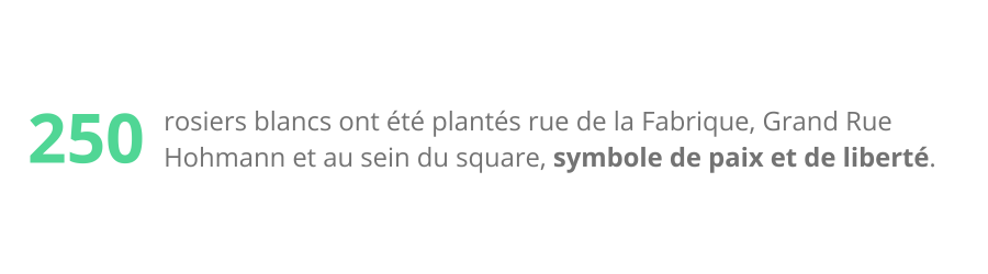 Design sans titre (4)