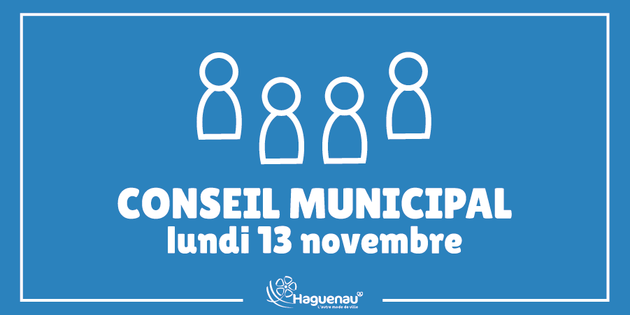 Assistez au Conseil municipal de novembre 2023