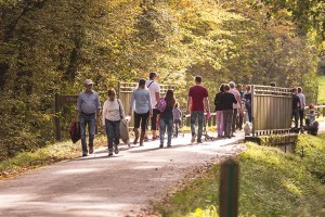 Découvrir la forêt